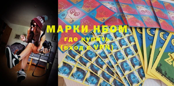 стаф Алексин