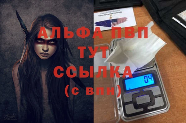 стаф Алексин