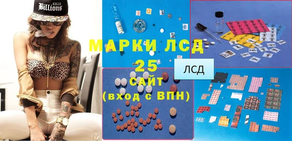 стаф Алексин